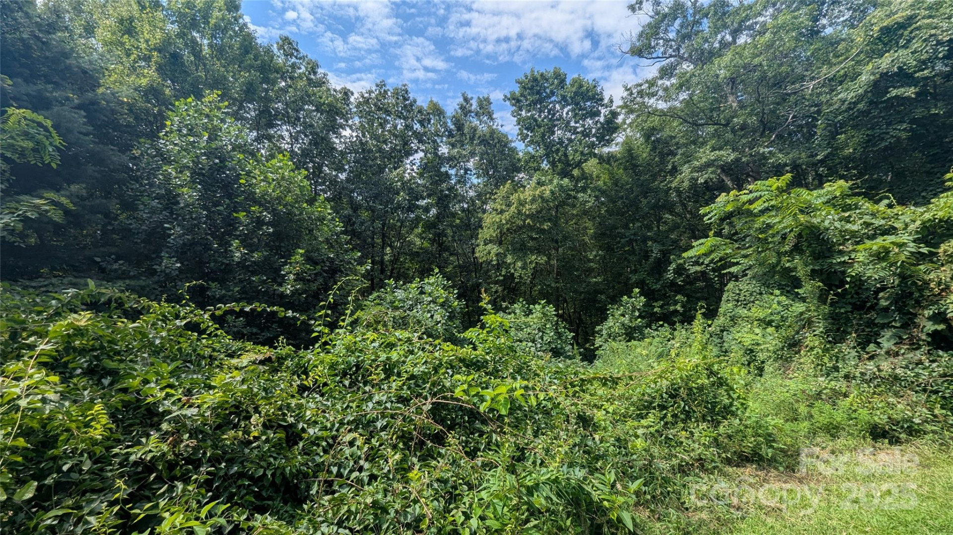 00 Pinewood Drive #7 - Photo 2