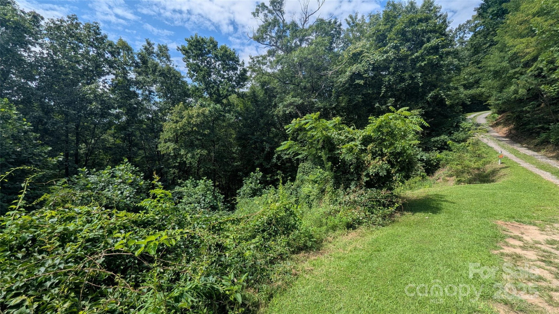 00 Pinewood Drive #7 - Photo 3