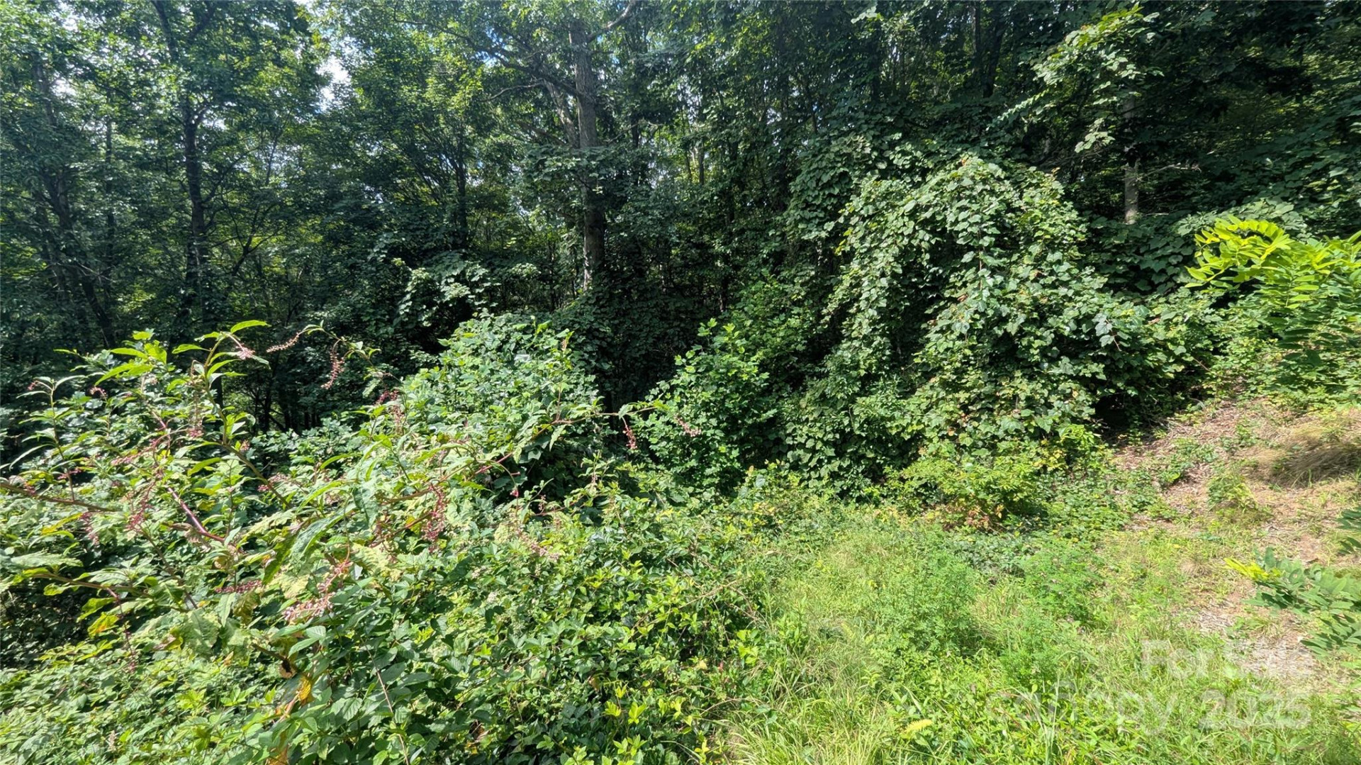 00 Pinewood Drive #7 - Photo 4