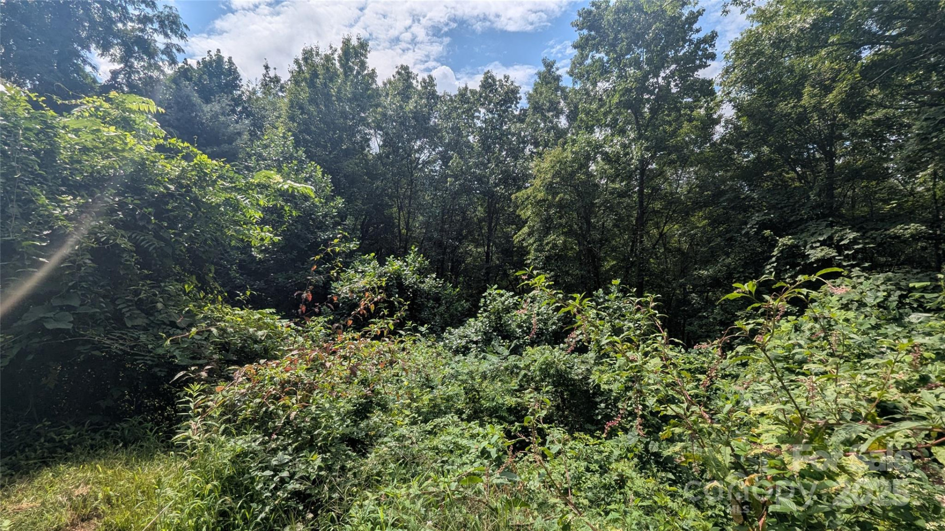 00 Pinewood Drive #7 - Photo 5