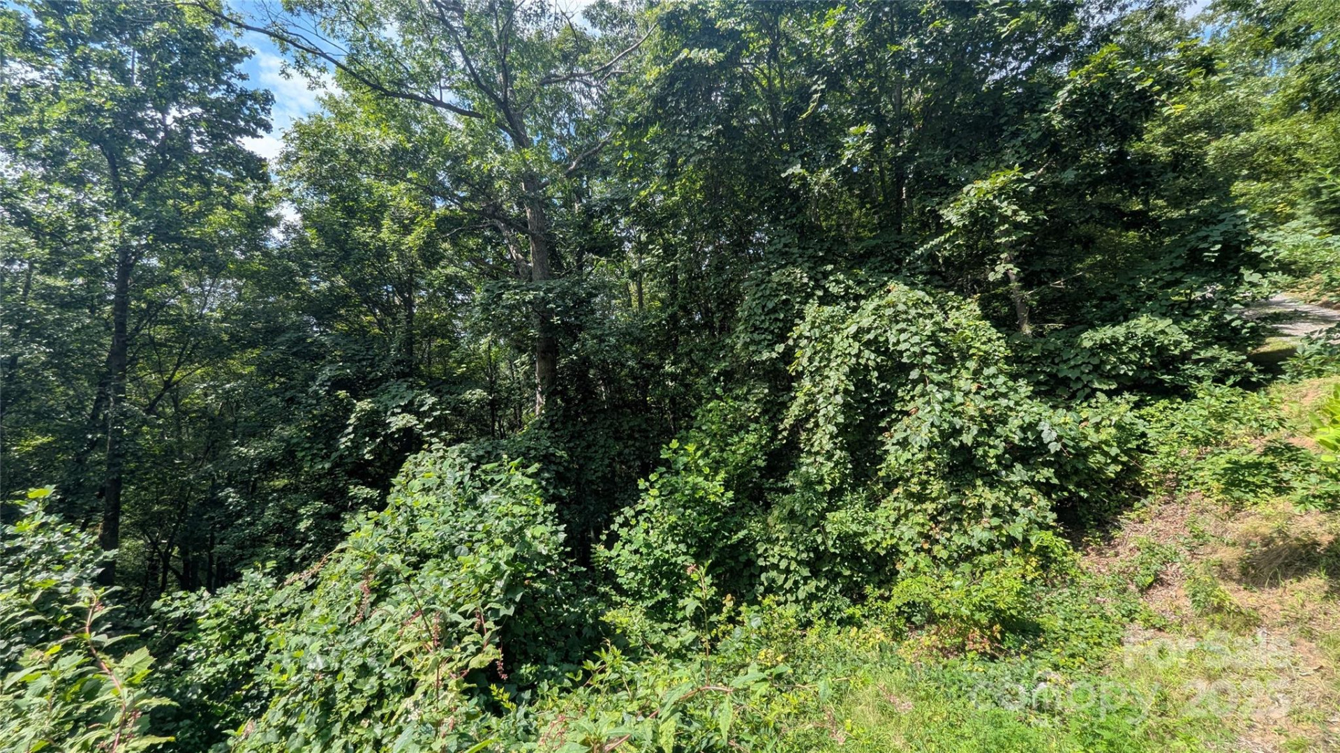 00 Pinewood Drive #7 - Photo 6