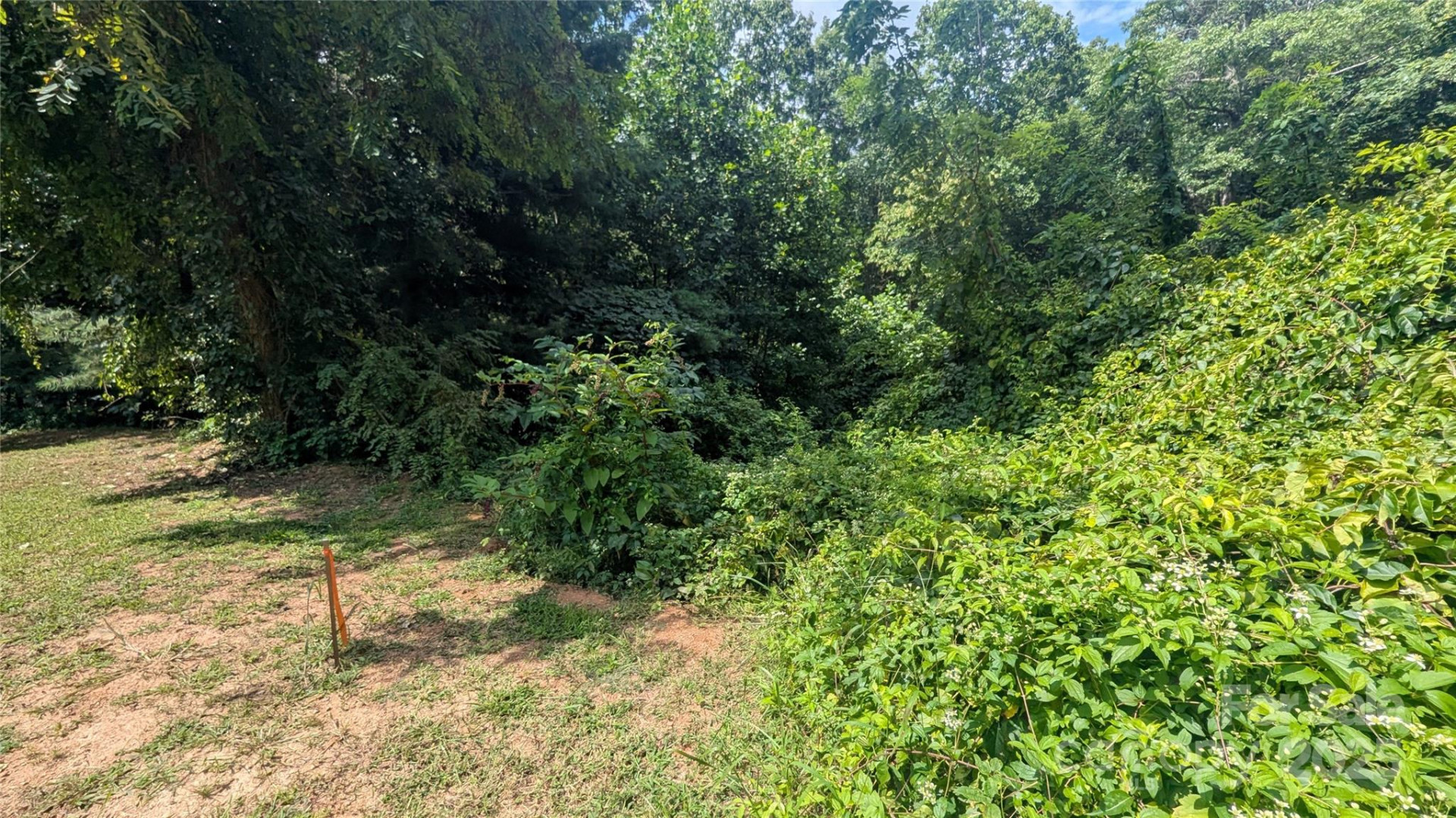 00 Pinewood Drive #7 - Photo 7