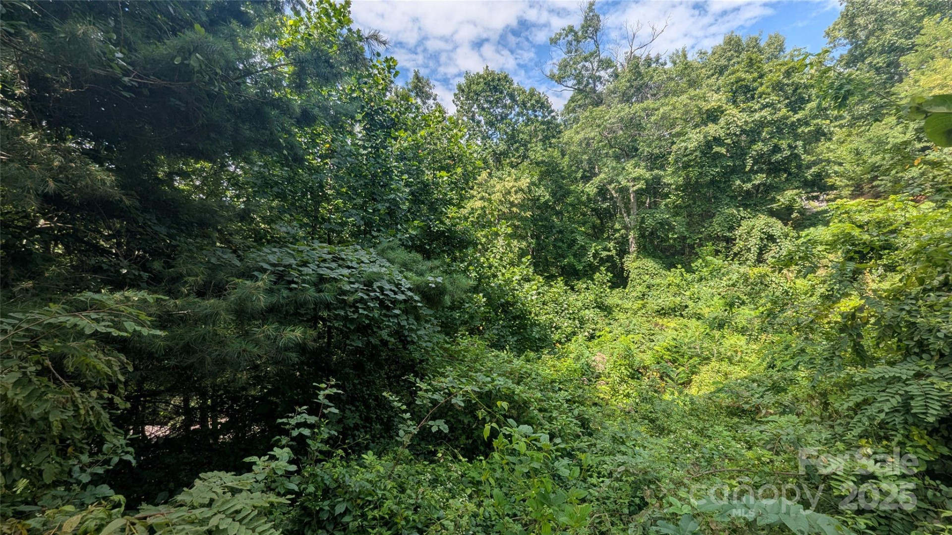 00 Pinewood Drive #7 - Photo 8