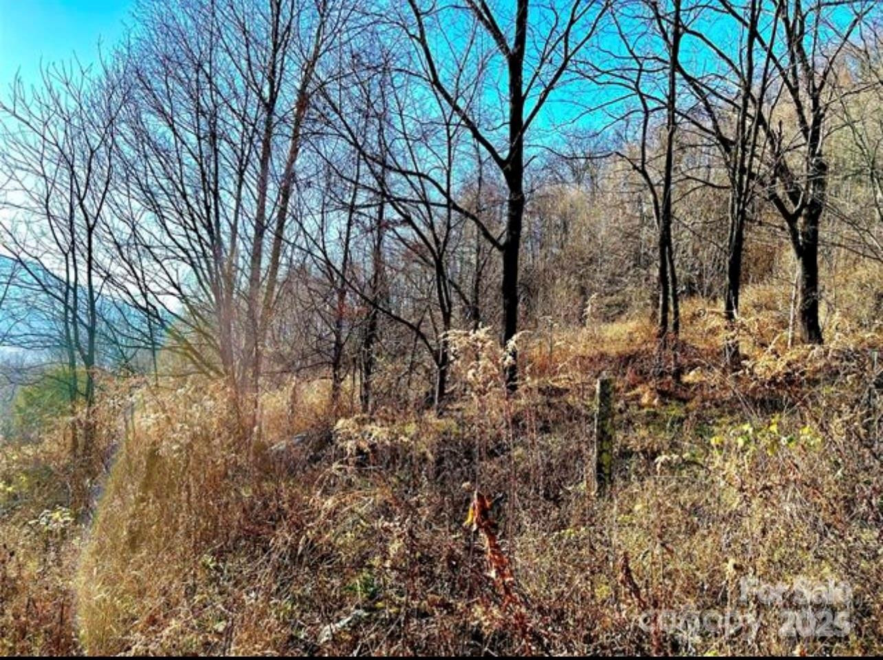 108 Lanning Road - Photo 12