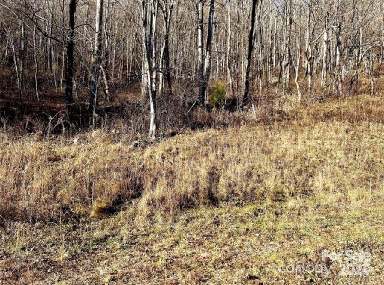 108 Lanning Road - Photo 13