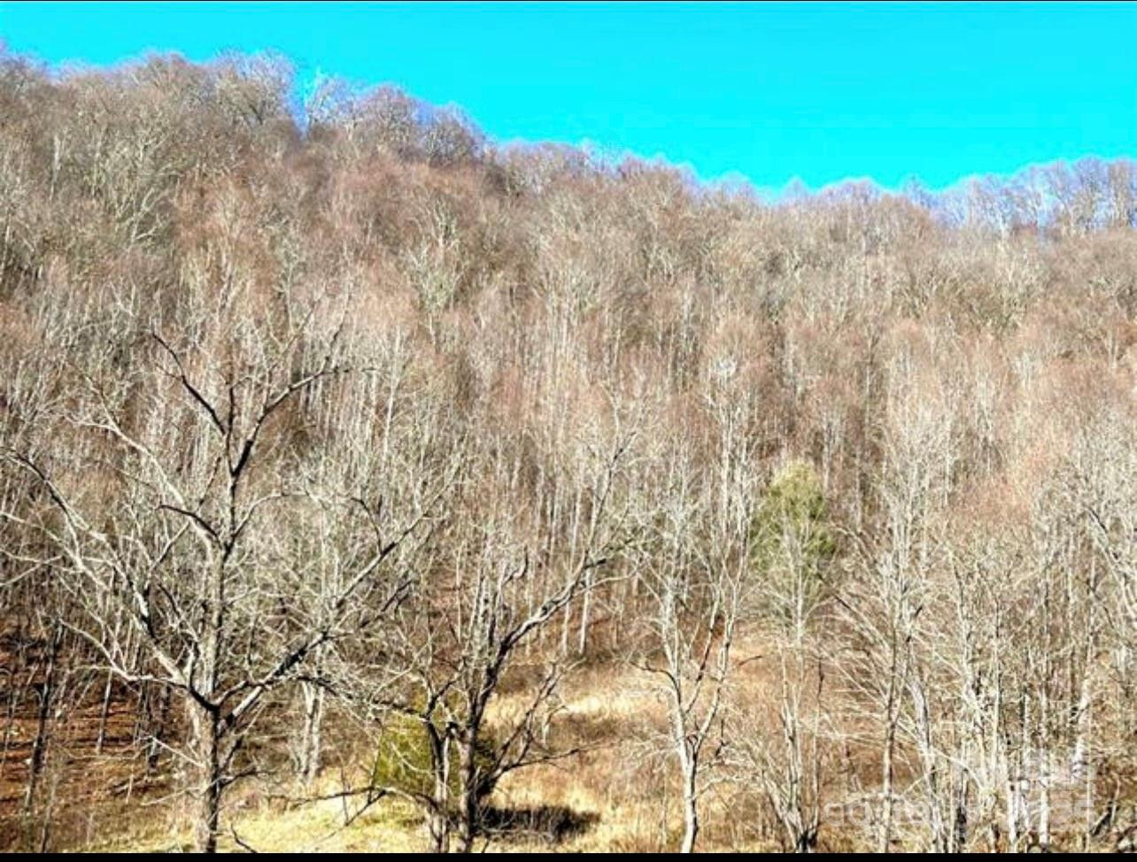 108 Lanning Road - Photo 14