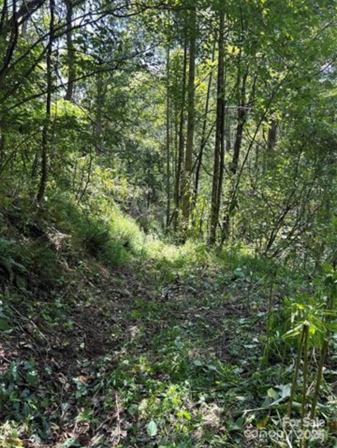 108 Lanning Road - Photo 9