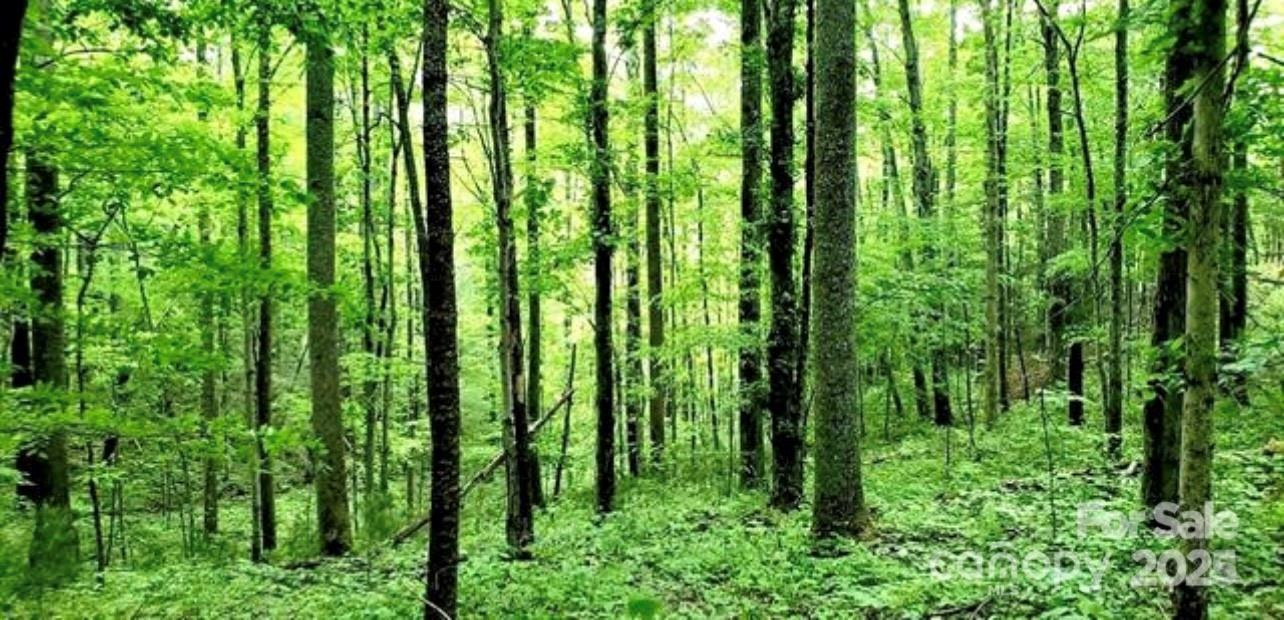 108 Lanning Road - Photo 10