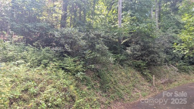 00 Chestnut Walk Drive