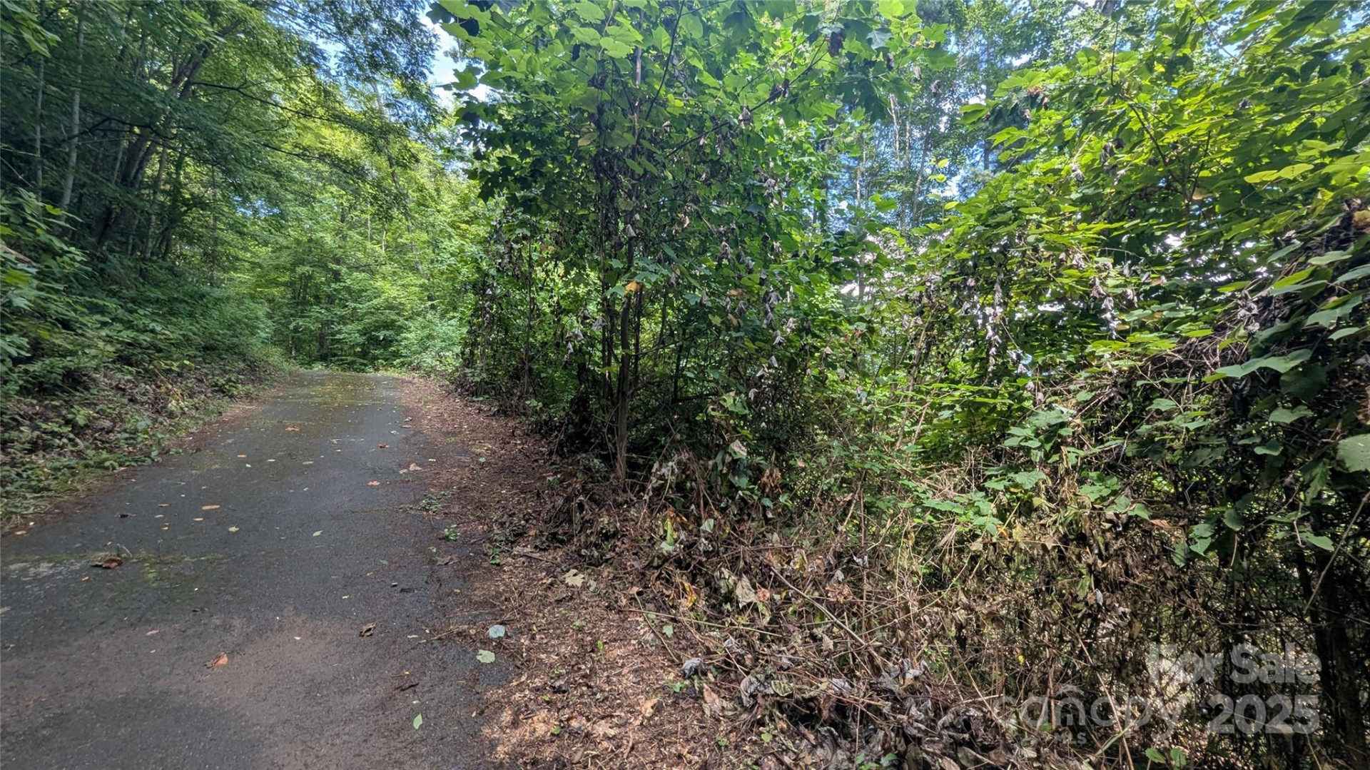 00 Chestnut Walk Drive #3 - Photo 2