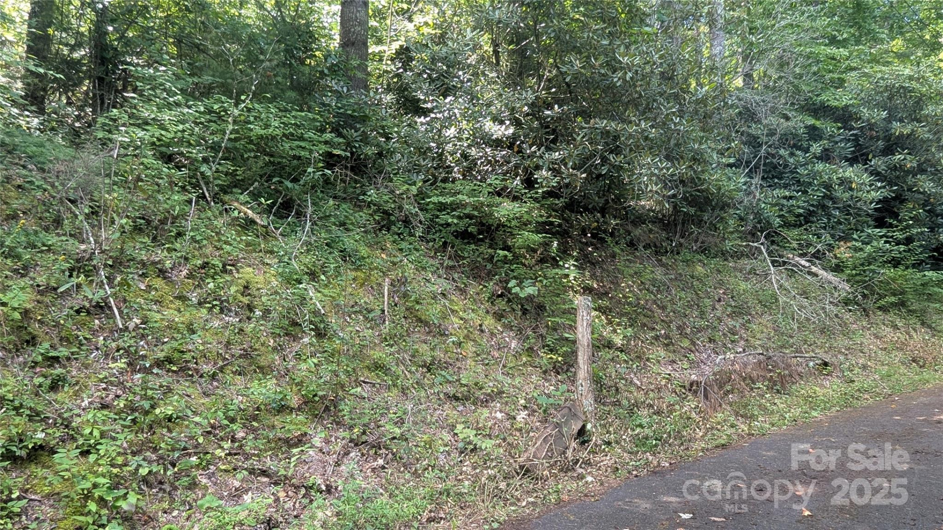 00 Chestnut Walk Drive #3 - Photo 3