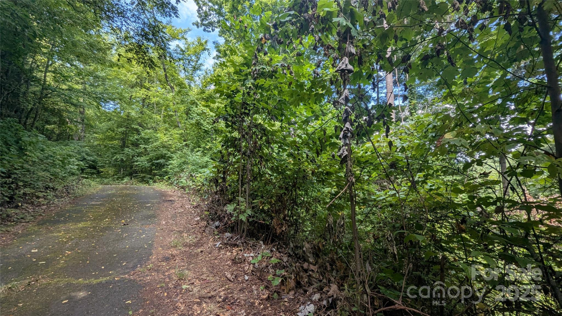 00 Chestnut Walk Drive #3 - Photo 4