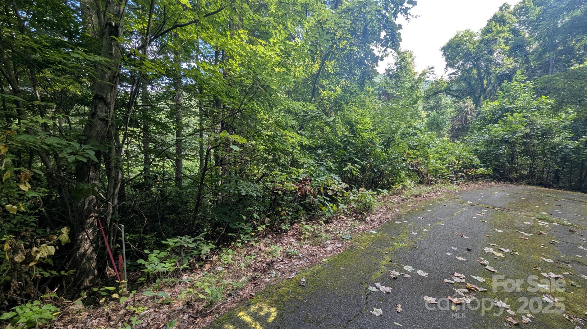 00 Chestnut Walk Drive #3 - Photo 5