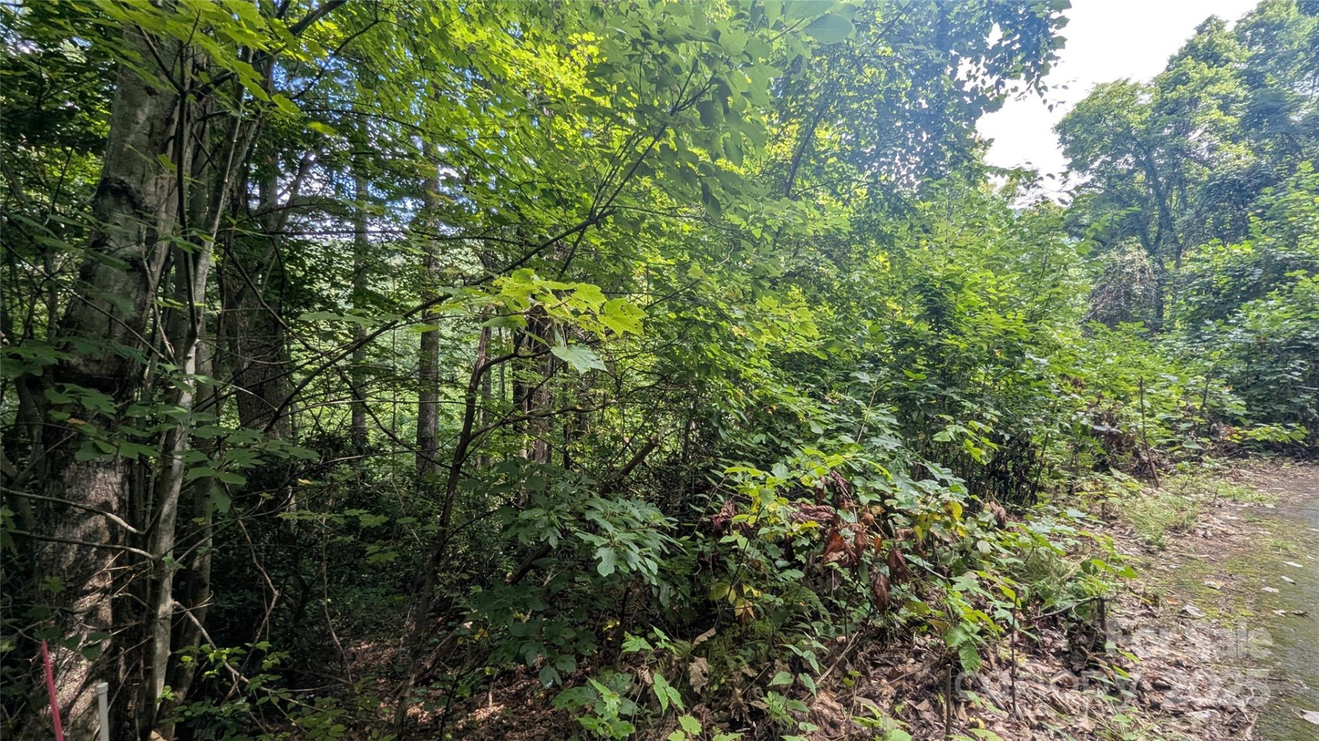 00 Chestnut Walk Drive #3 - Photo 6