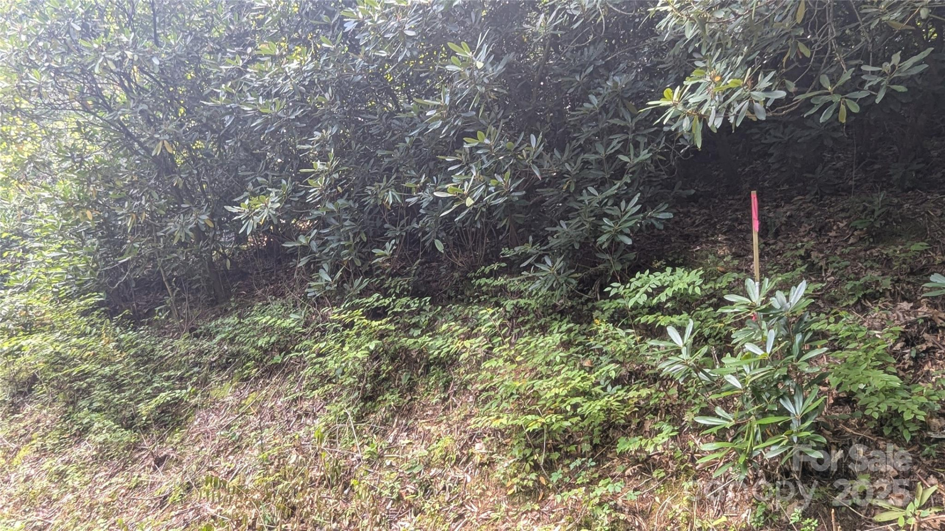 00 Chestnut Walk Drive #3 - Photo 7