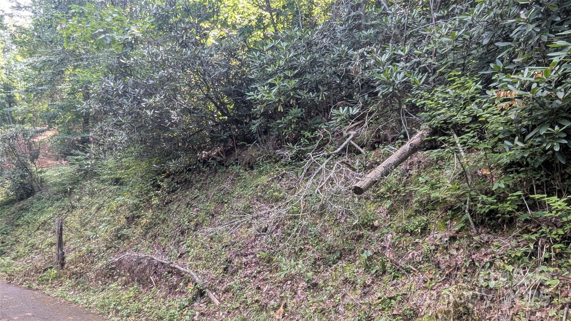 00 Chestnut Walk Drive #3 - Photo 8