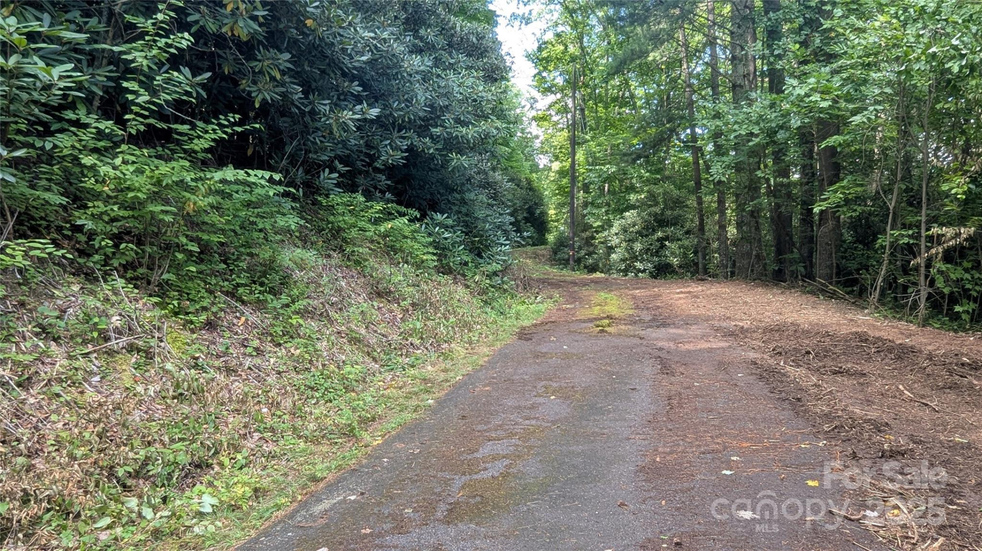 00 Chestnut Walk Drive #3 - Photo 9