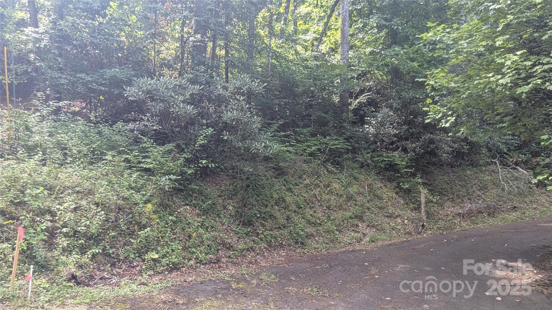 00 Chestnut Walk Drive #3 - Photo 10