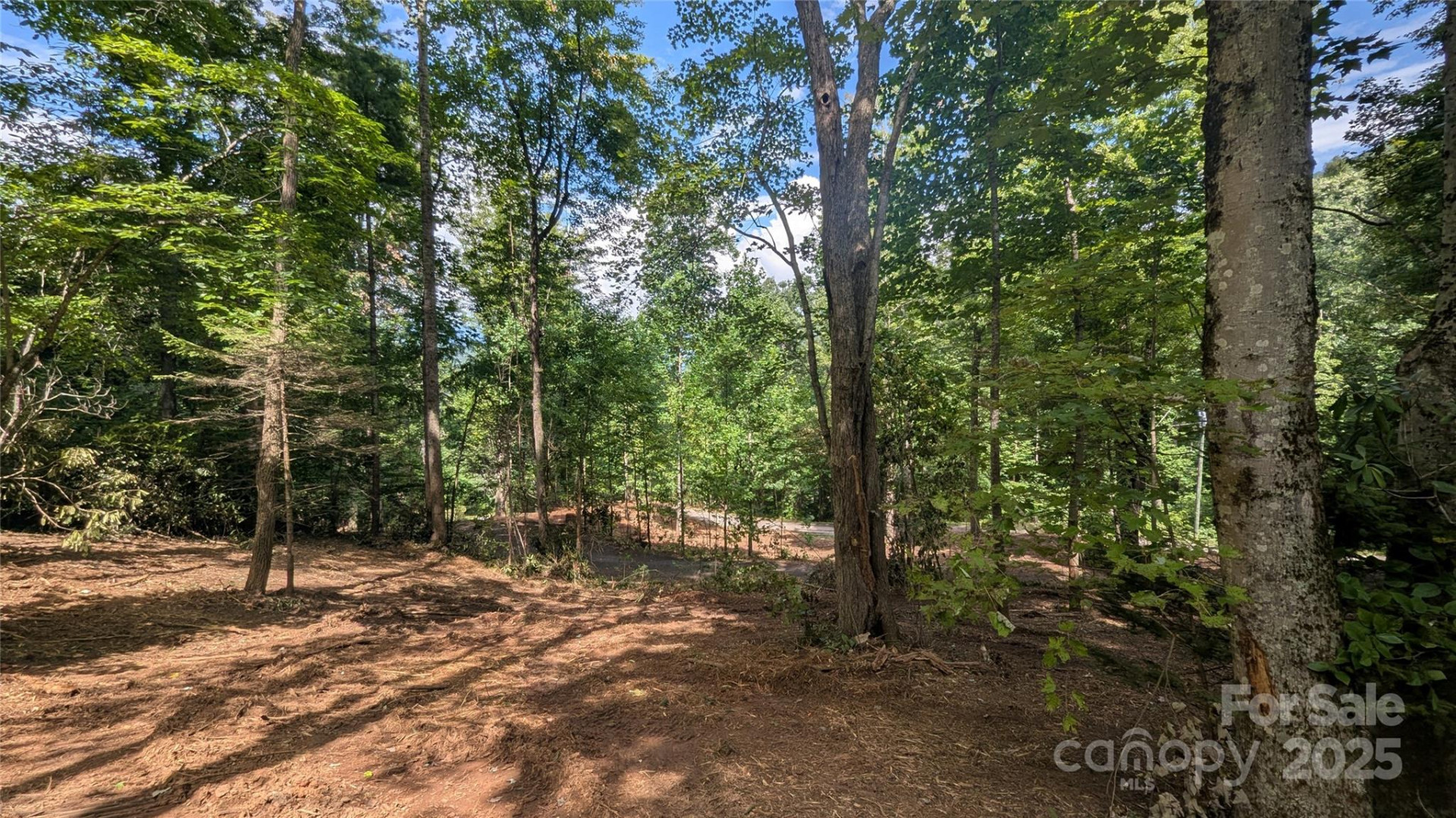 707 Apple Tree Court #32