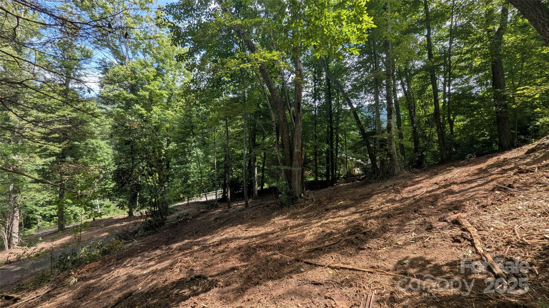 707 Apple Tree Court #32 - Photo 2