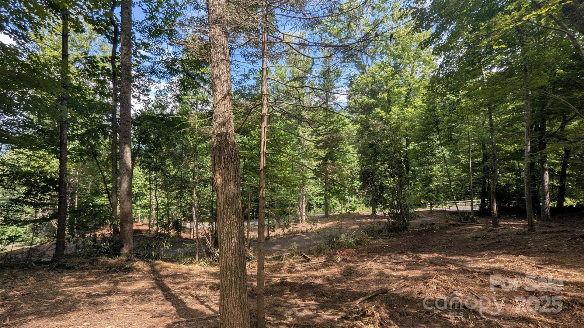 707 Apple Tree Court #32 - Photo 3