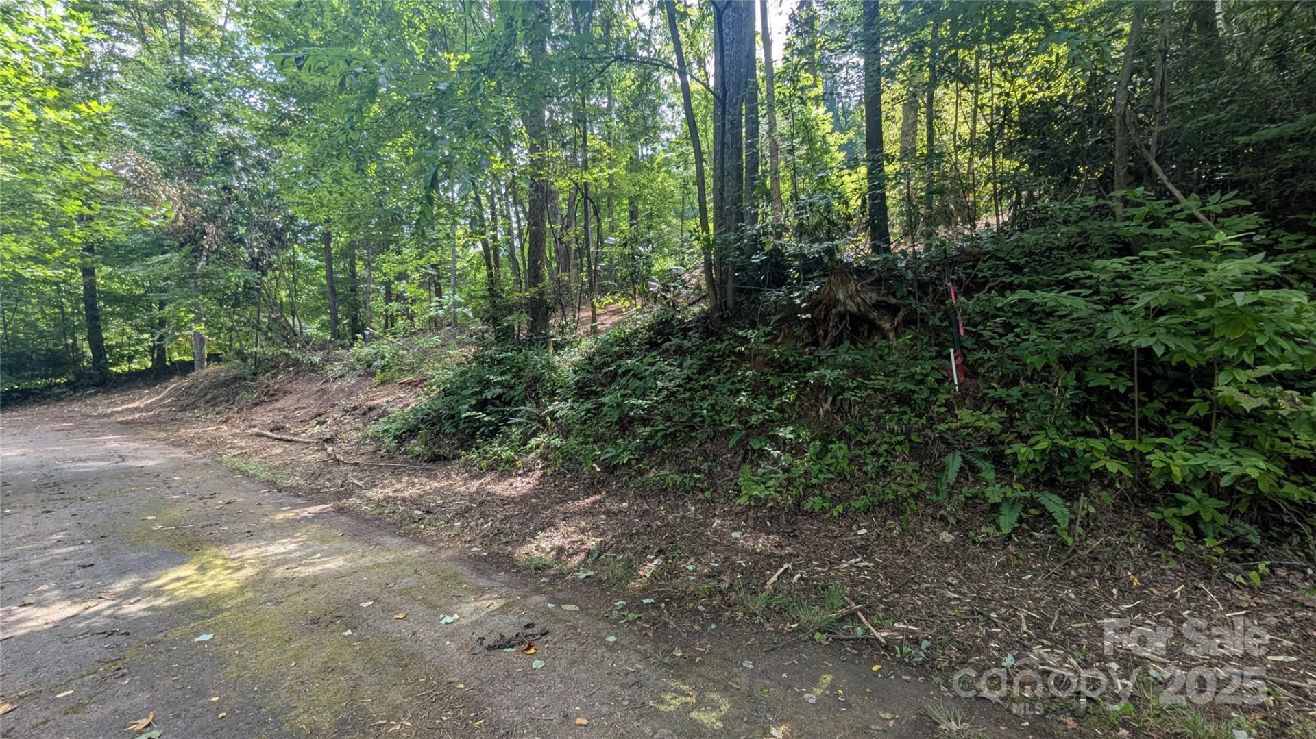 707 Apple Tree Court #32 - Photo 4