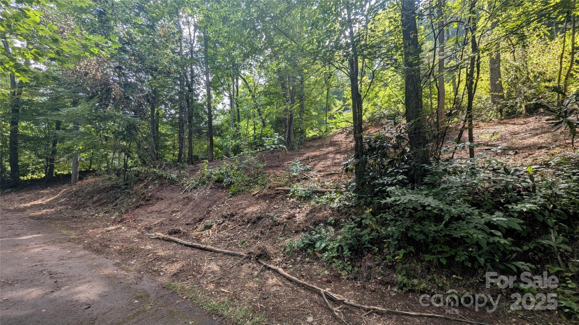 707 Apple Tree Court #32 - Photo 5