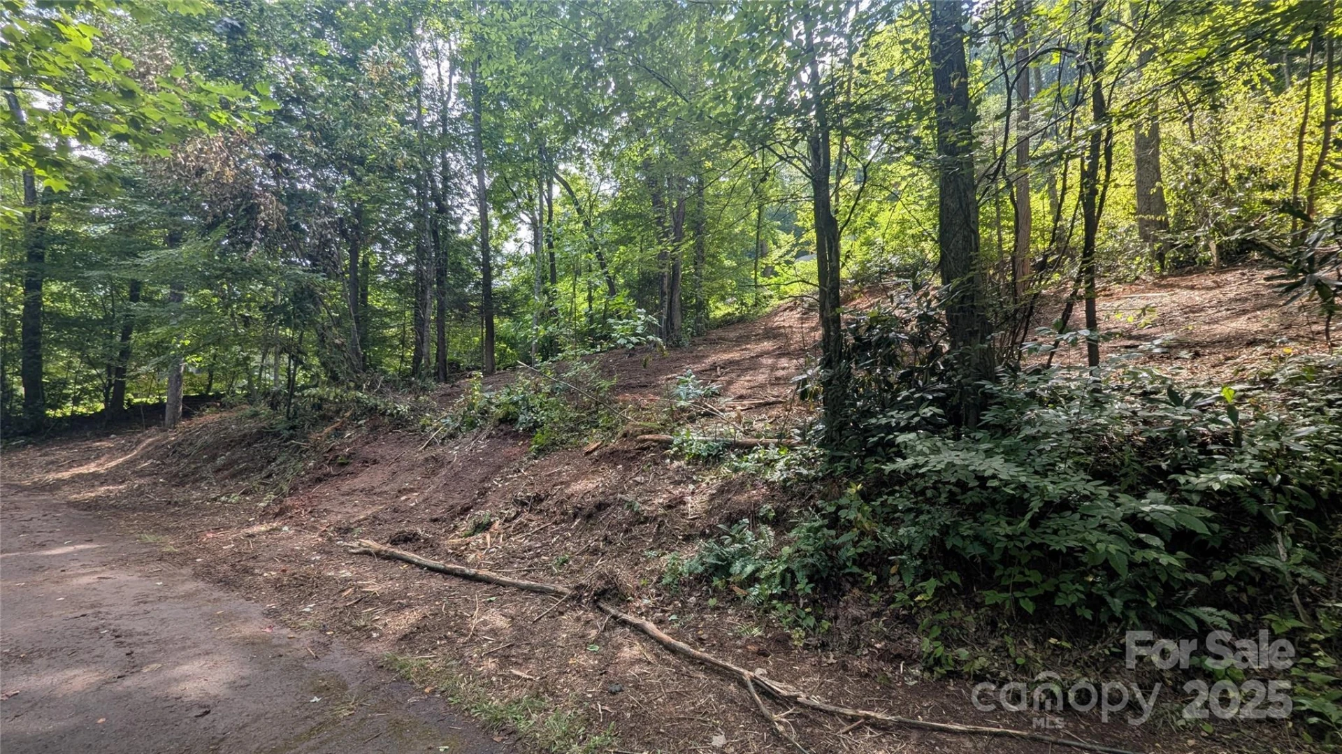 707 Apple Tree Court #32 - Photo 5