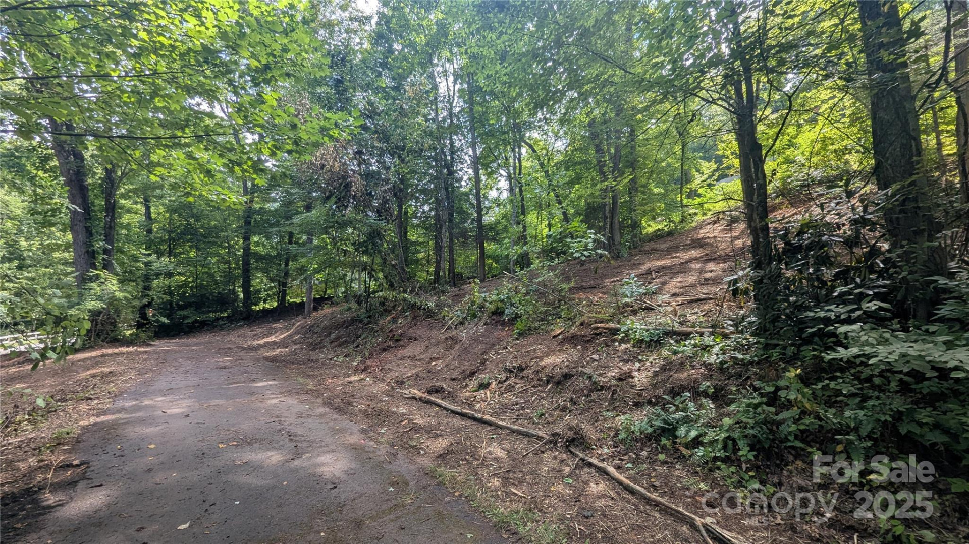 707 Apple Tree Court #32 - Photo 6