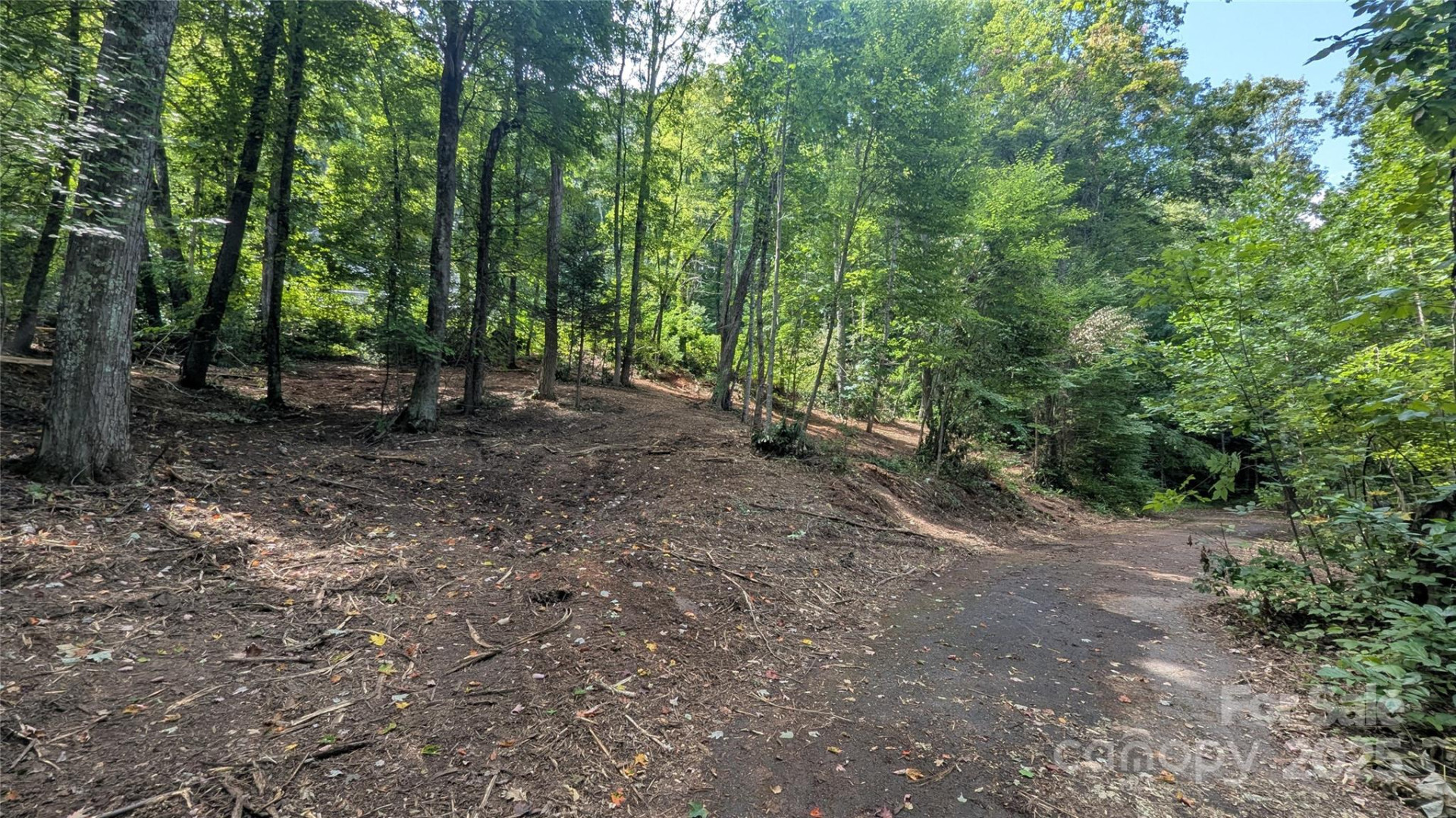 707 Apple Tree Court #32 - Photo 7