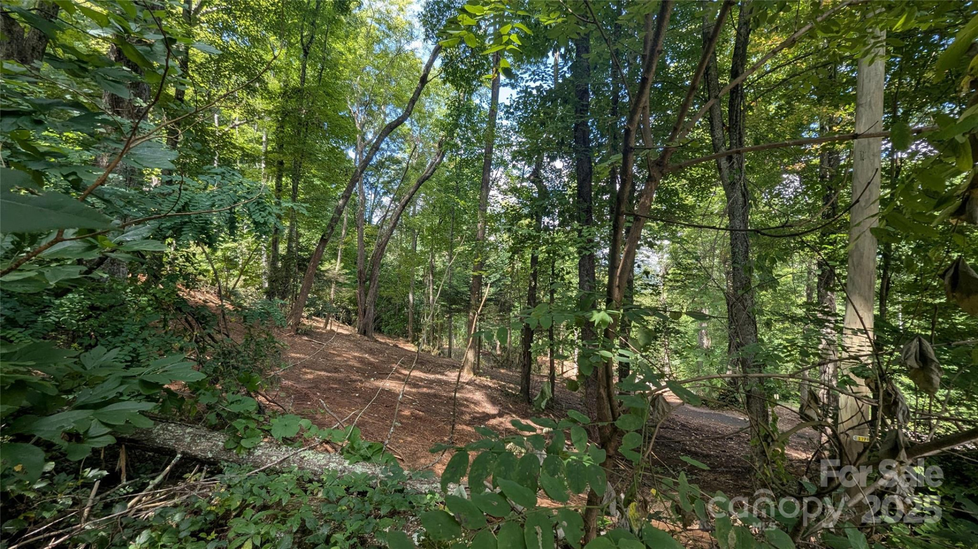 707 Apple Tree Court #32 - Photo 8