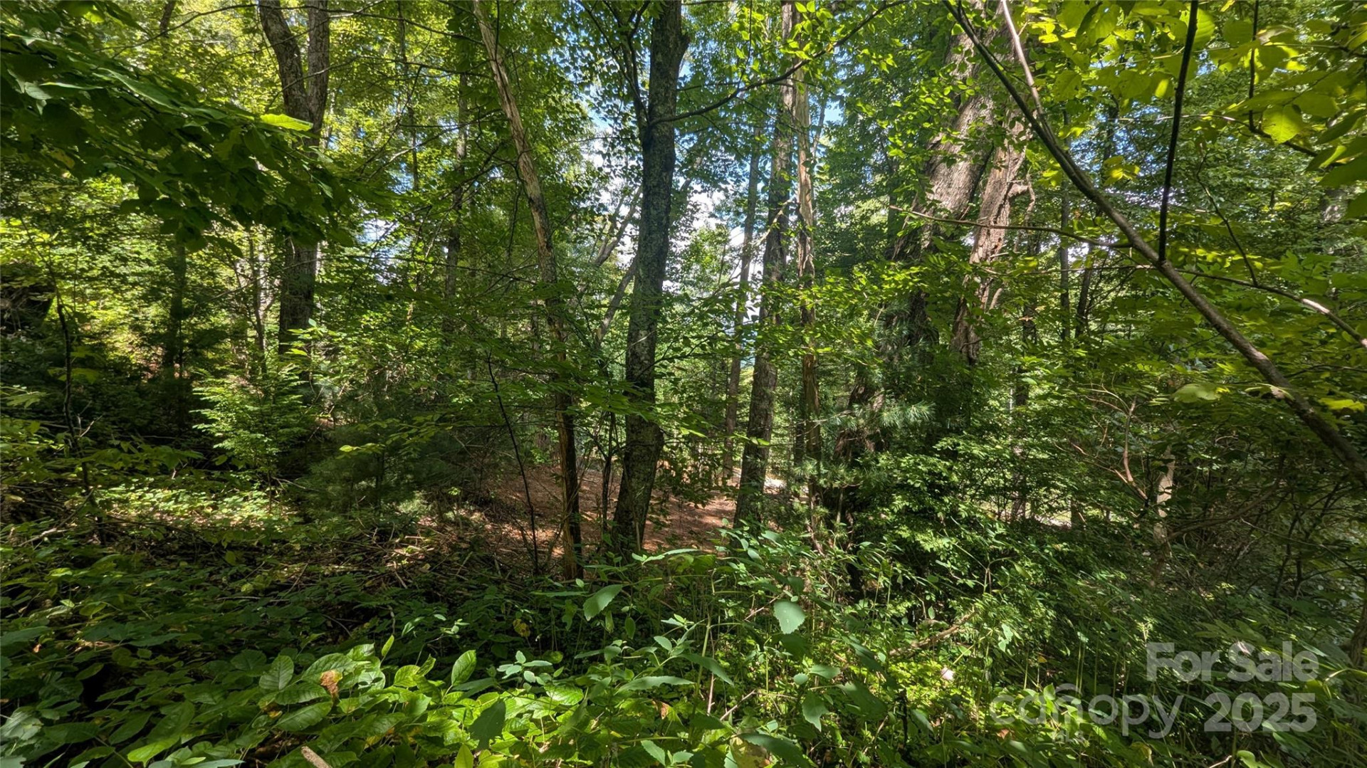 707 Apple Tree Court #32 - Photo 9