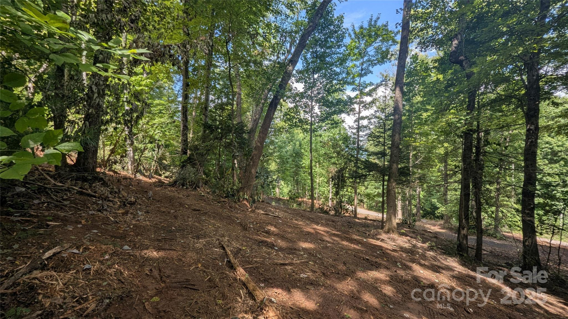 707 Apple Tree Court #32 - Photo 10