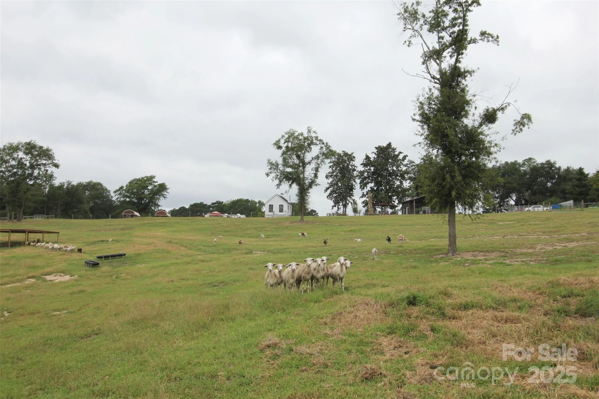212 Guardian Way - Photo 3