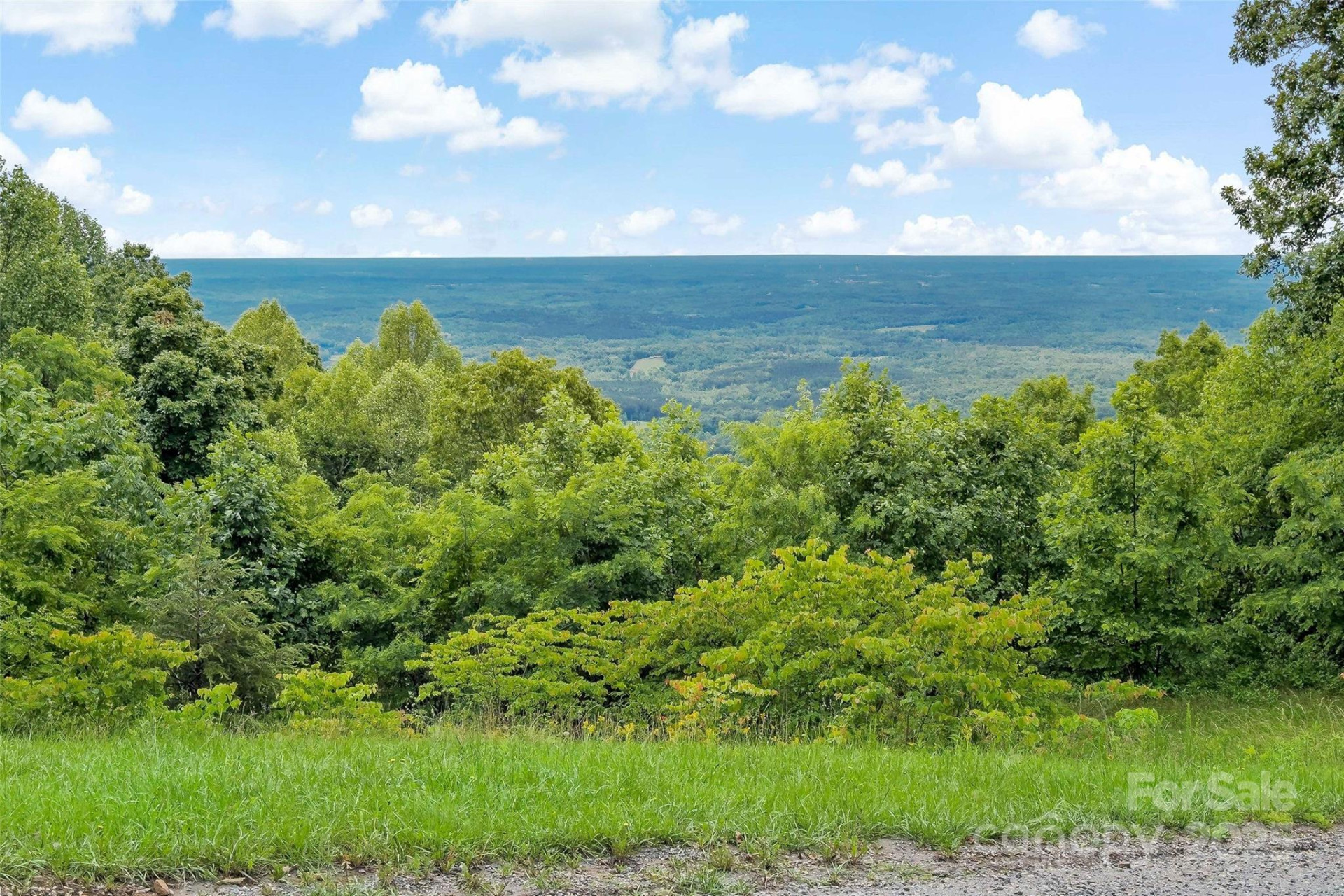 2097 Pinnacle Parkway - Photo 42