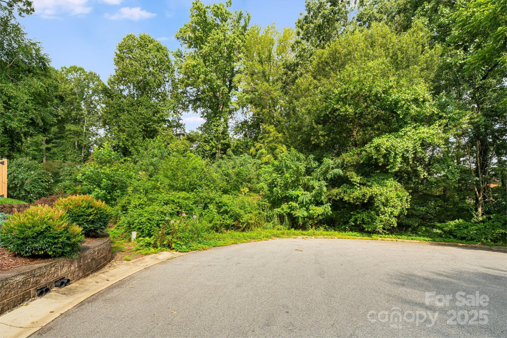 14 Catalina Court - Photo 7