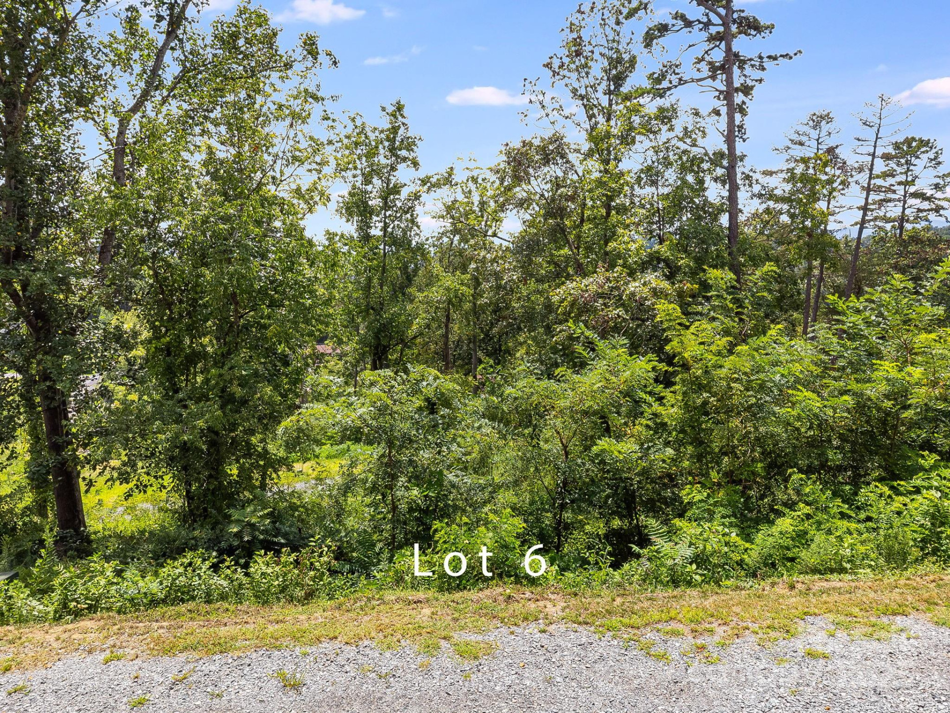 332 Espen Ridge #6 - Photo 6