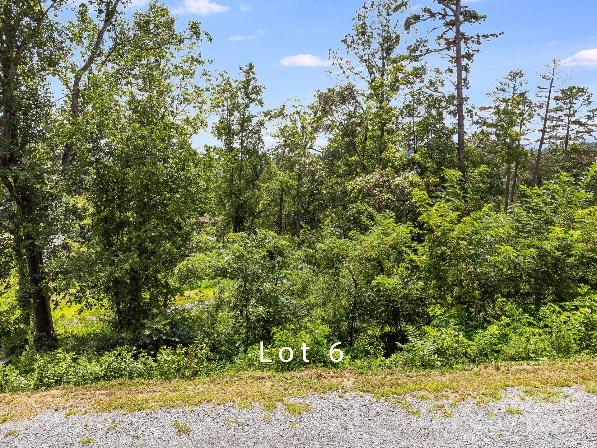 332 Espen Ridge #6 - Photo 6