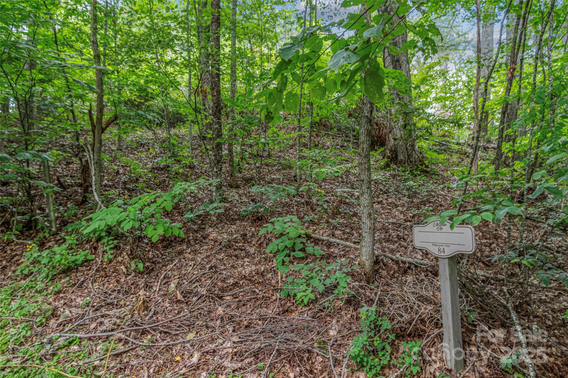 Lot 84 Ridgepoint View #84/1 - Photo 2