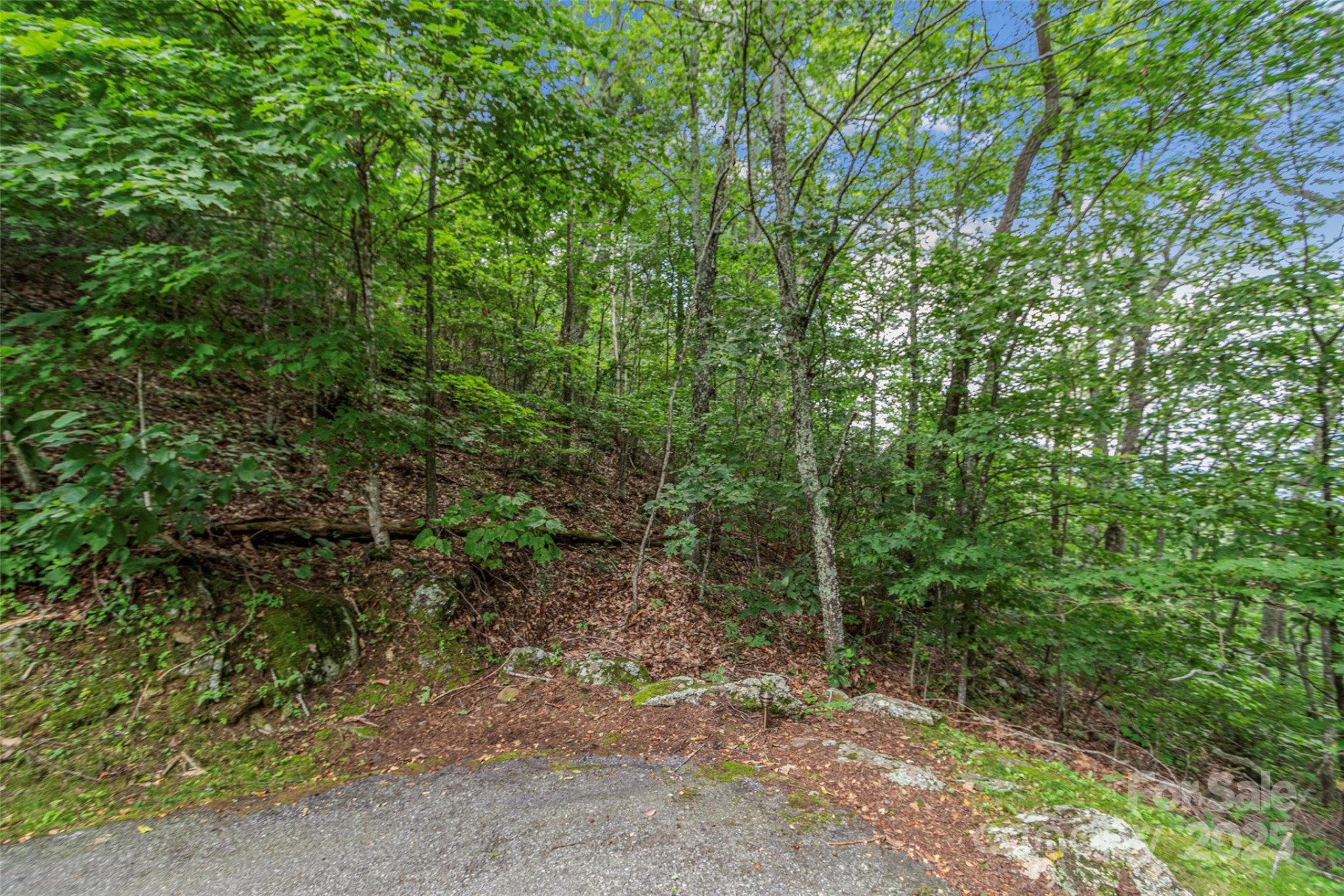 Lot 84 Ridgepoint View #84/1 - Photo 4