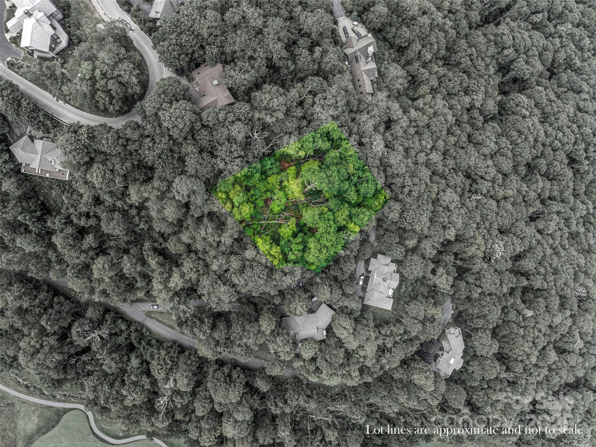 Lot 84 Ridgepoint View #84/1 - Photo 7