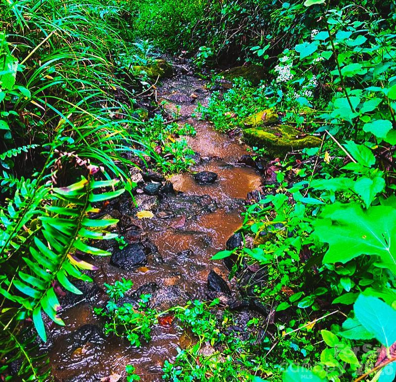 81 Jericho Drive - Photo 2