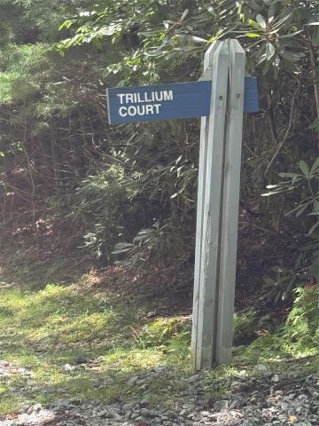 000 Trillium Court