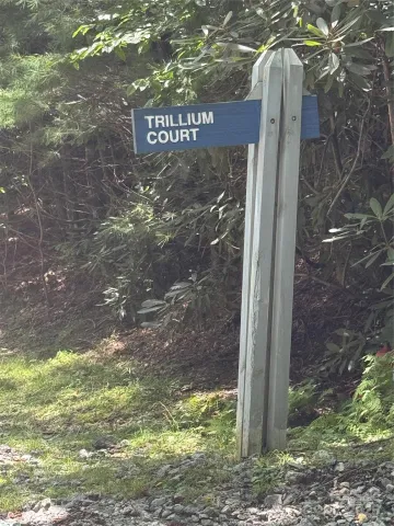 000 Trillium Court, Sapphire, NC, 28774