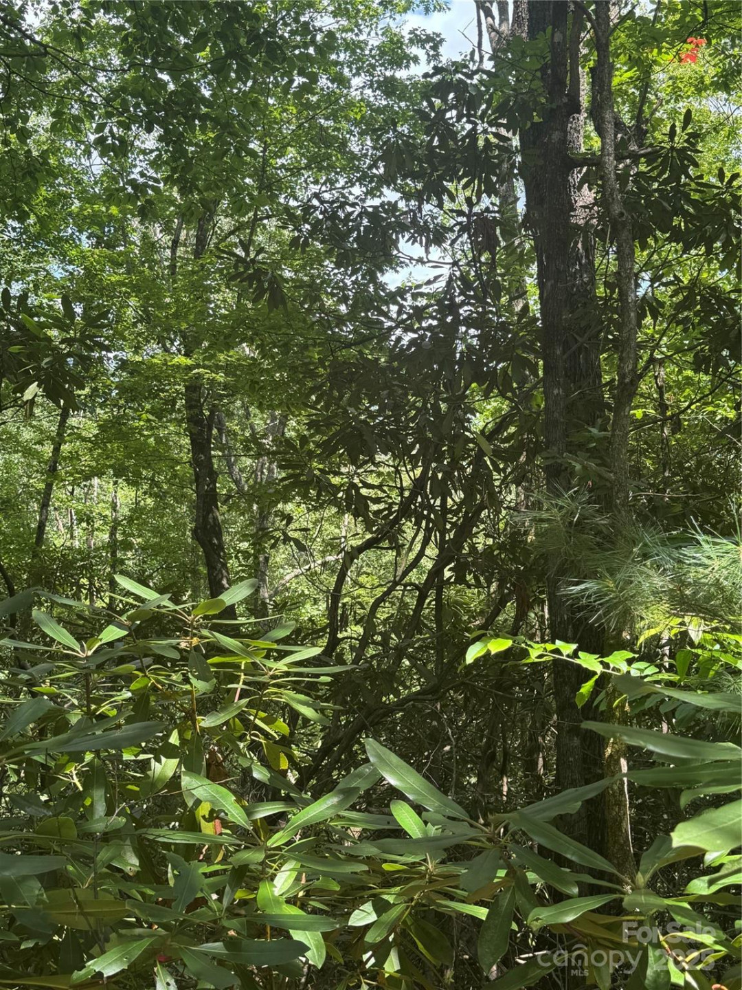 000 Trillium Court #37 - Photo 2