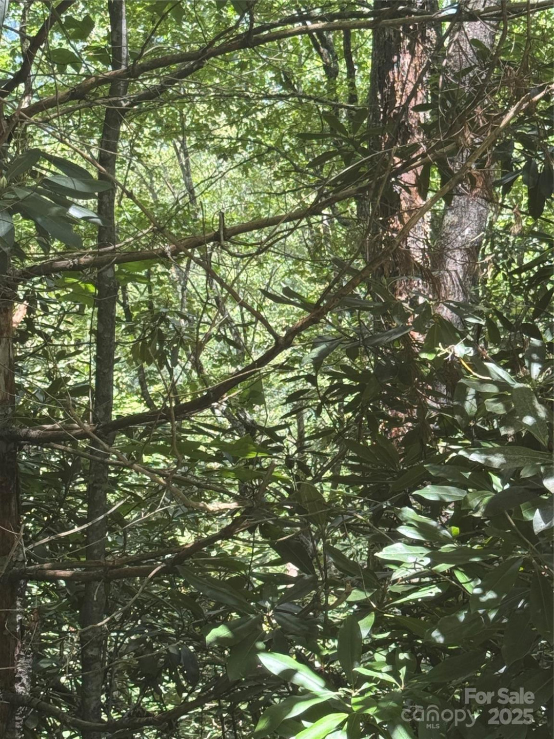 000 Trillium Court #37 - Photo 4