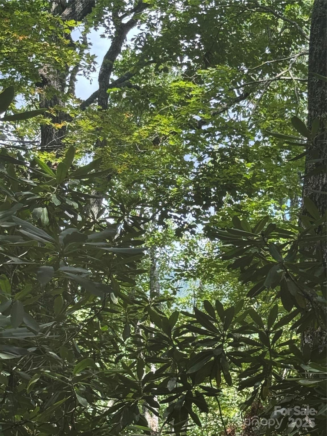 000 Trillium Court #37 - Photo 5