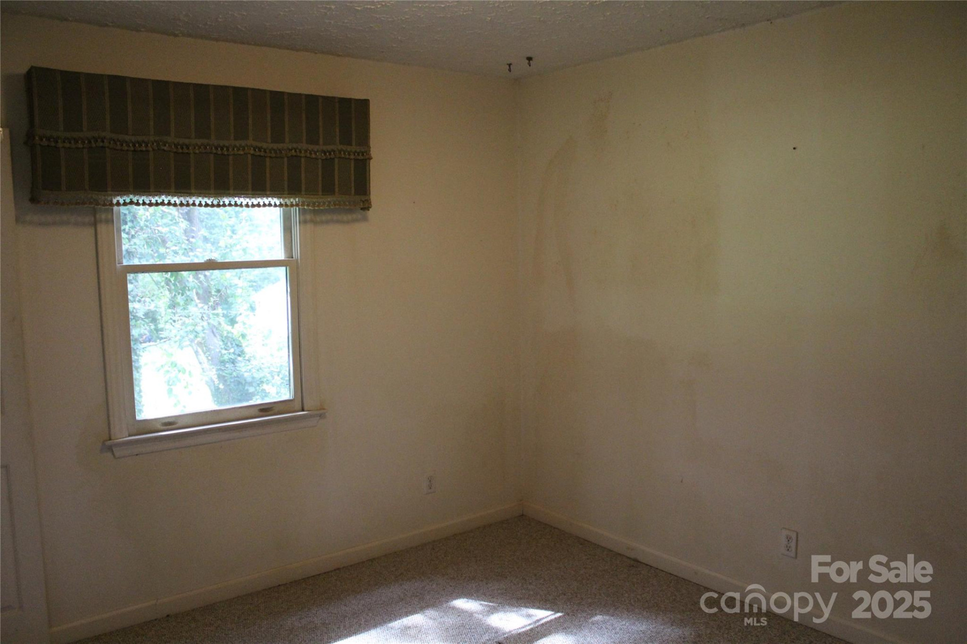 2556 NC 126 Highway - Photo 15