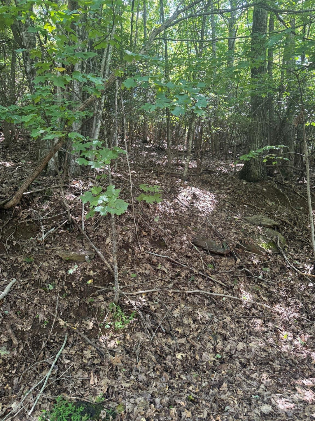 000 Wild Cherry Drive #187