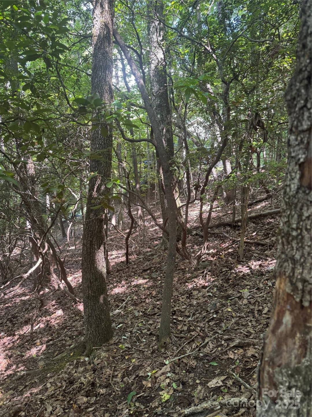 000 Wild Cherry Drive #187 - Photo 4